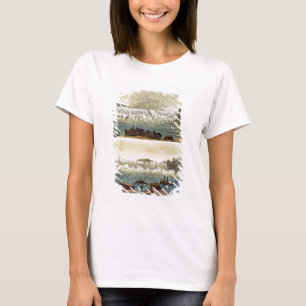 Niagara Falls 1818 (färggravyr) Tee Shirt