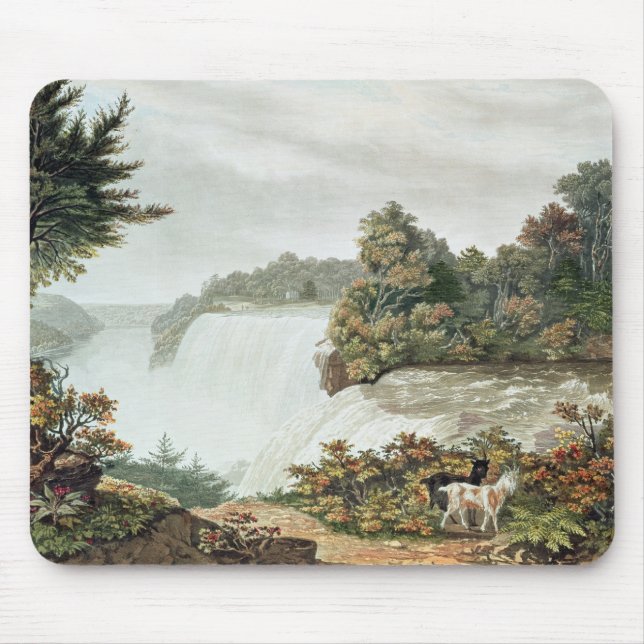 Niagara Falls från getön Musmatta (Framsidan)