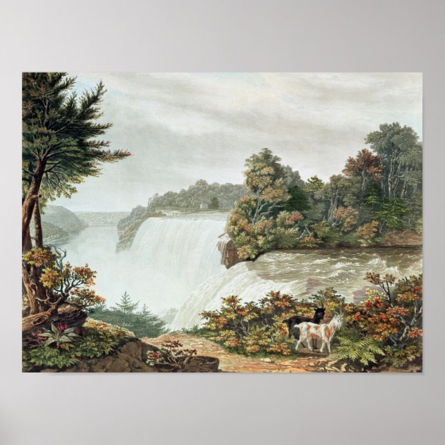 Niagara Falls från Goat Island Poster (Framsidan)