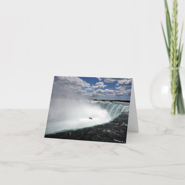 Niagara Falls med Fiskmås Anteckningskort (Framsida)