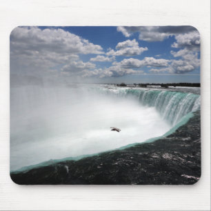 Niagara Falls med Fiskmås Musmatta