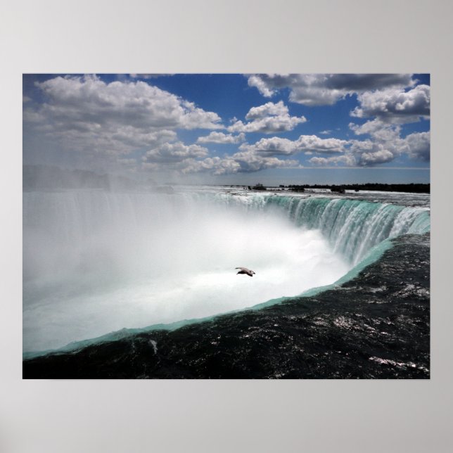Niagara Falls med Fiskmås Poster (Framsidan)