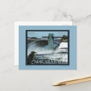 Niagara Falls Poster Vykort