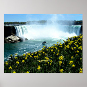 Niagara Falls, Scener Photograph Poster