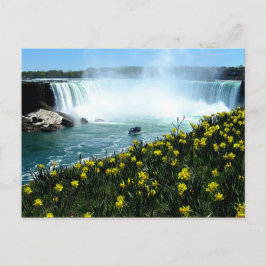 Niagara Falls Vykort