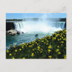 Niagara Falls Vykort