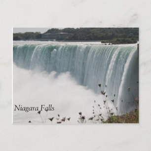 Niagara Falls Vykort