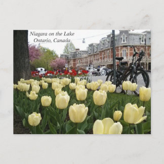 Niagara på sjön vykort