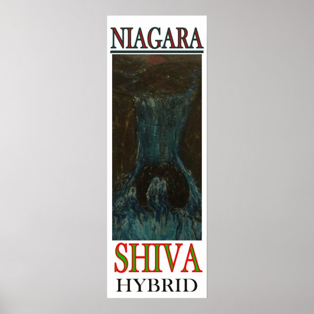 NIAGARA SHIVA HYBRID POSTER (Framsidan)