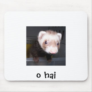 nib nolla-hai musmatta