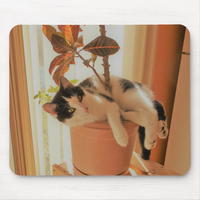 Nibbleren är Catnipping Musmatta (Framsidan)