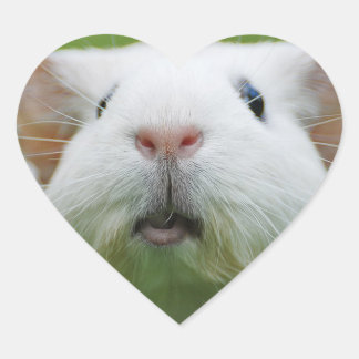 Nibblers klistermärken