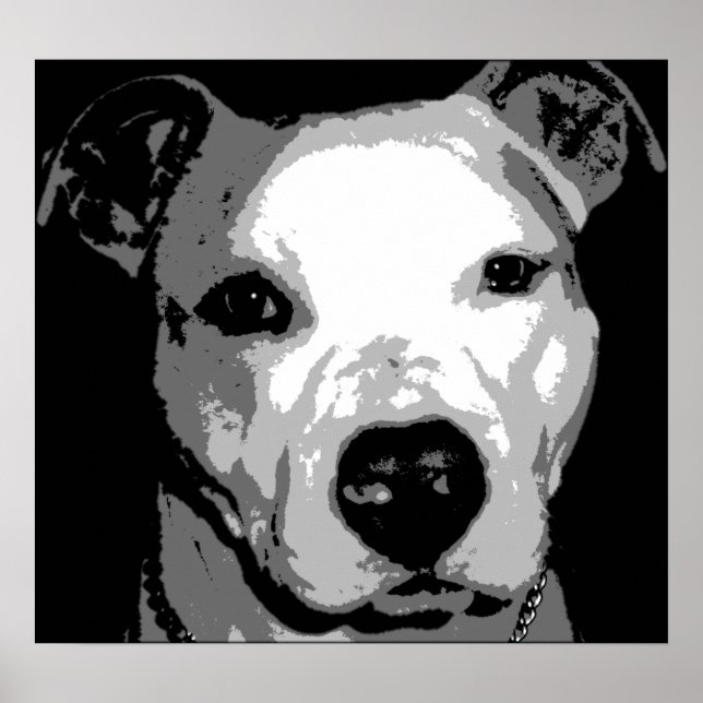 Nibs the Pit Bull Poster (Framsidan)
