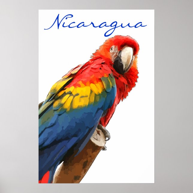 Nicaragua Scarlet Macaw Poster (Framsidan)