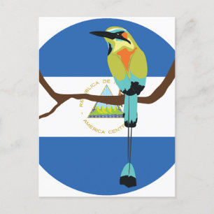 Nicaragua Turkvoise broced motmot Torogoz Vykort