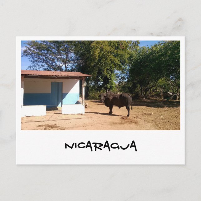 Nicaragua Vykort (Framsida)