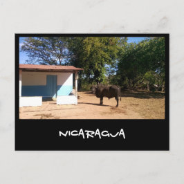 Nicaragua Vykort