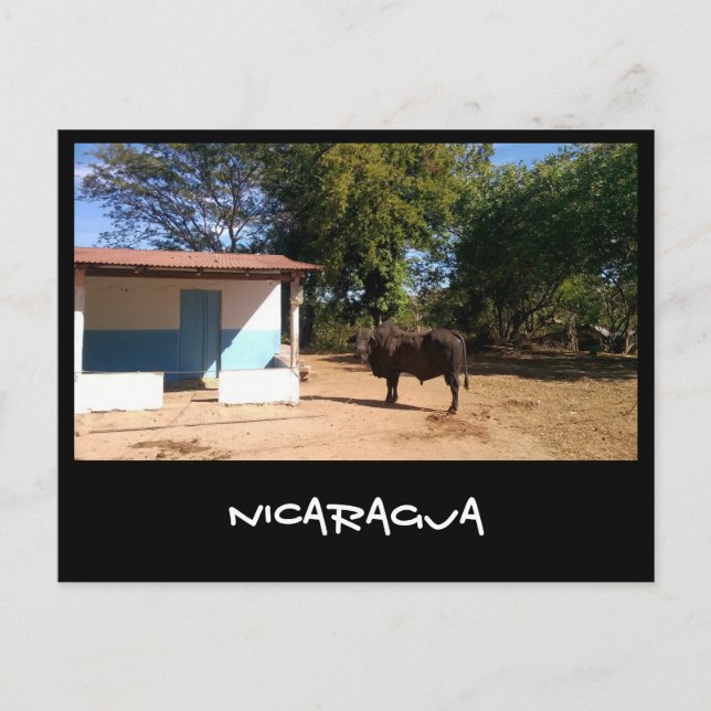 Nicaragua Vykort (Framsida)