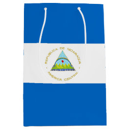 Nicaraguas flagga