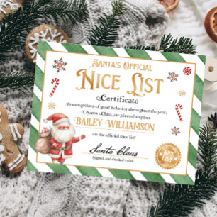 Nice-certifikat godkänt Jultomten Poster
