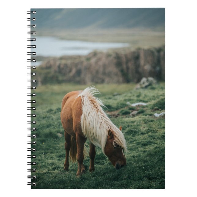 NICE HORSE ANTECKNINGSBOK (Framsidan)