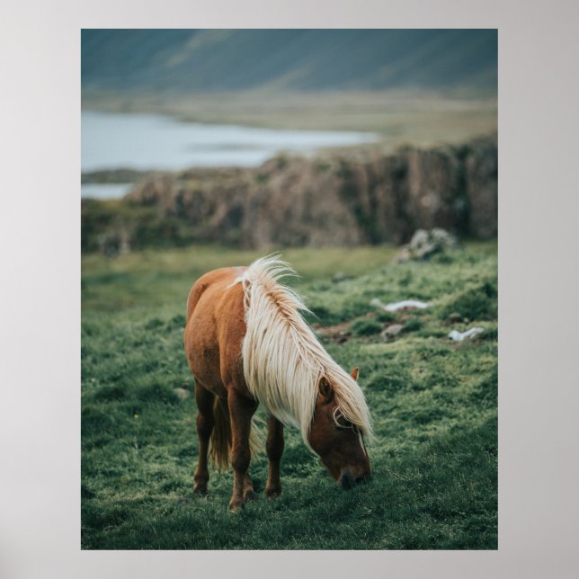 NICE HORSE POSTER (Framsidan)