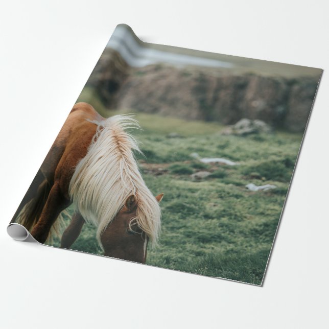 NICE HORSE PRESENTPAPPER (Utrullad)