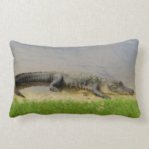 Nice och tystnad. Florida alligator Lumbarkudde