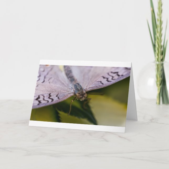 Nice som möter dig kort (Framsida)