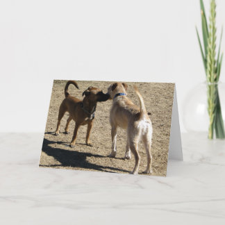 Nice som möter dig! kort