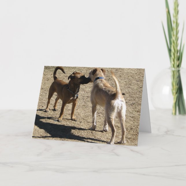 Nice som möter dig! kort (Framsida)