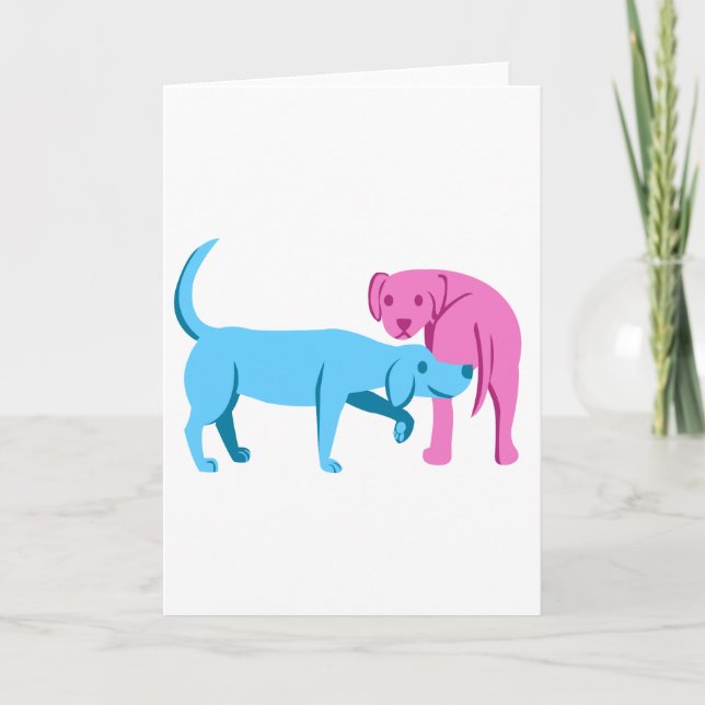 Nice som möter dig kort (Framsida)