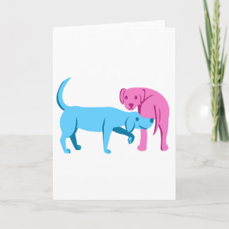 Nice som möter dig kort