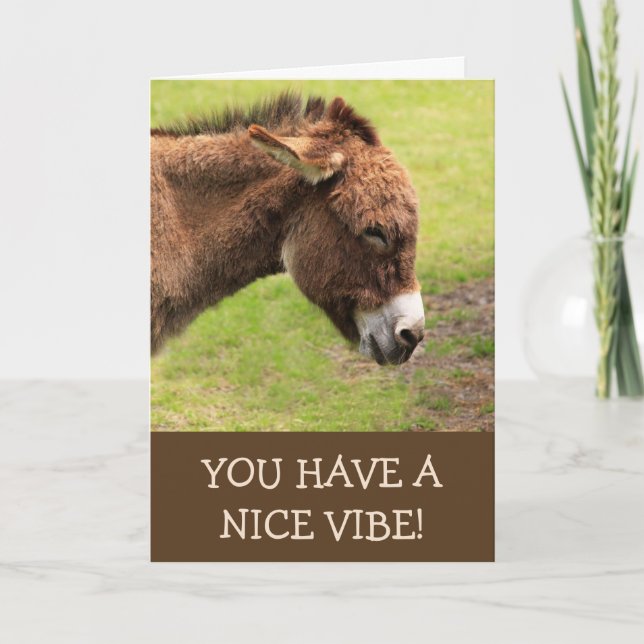 Nice Vibe Donkey Grattis på födelsedagen Kort (Framsida)