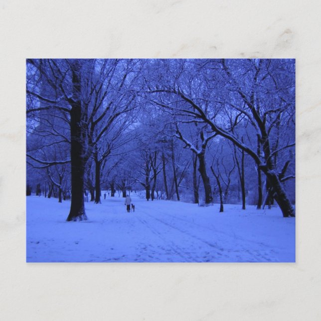 NICE WALK VYKORT (Framsida)