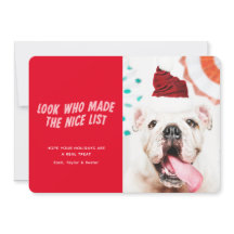 Niceförteckningen | Juli-Helgdag Pet-Hund Photo