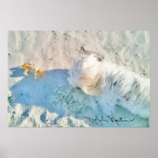 Nicholas & Friend Poster