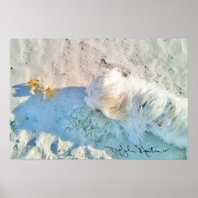 Nicholas & Friend Poster (Framsidan)