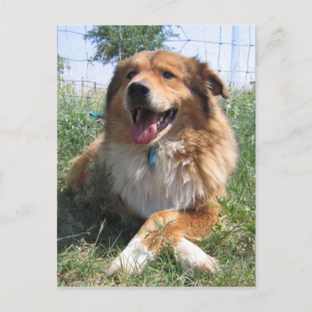 Nicholas Vykort (Framsida)