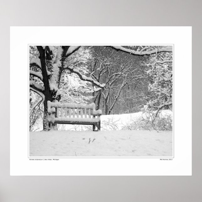 Nichols Arboretum #1 Poster (Framsidan)