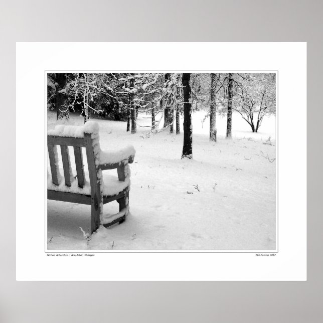 Nichols Arboretum #3 Poster (Framsidan)