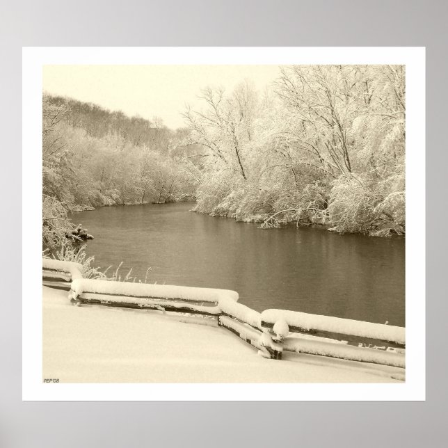 Nichols Arboretum Poster (Framsidan)