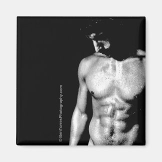 Nick är David Magnet