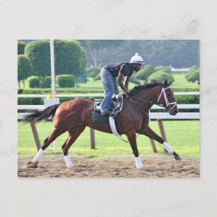 Nick Bush och Todd Pletcher Workouts Vykort