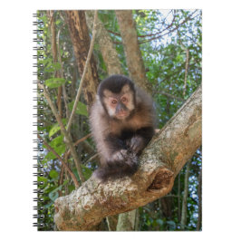 Nico Spiral Photo Notebook Anteckningsbok