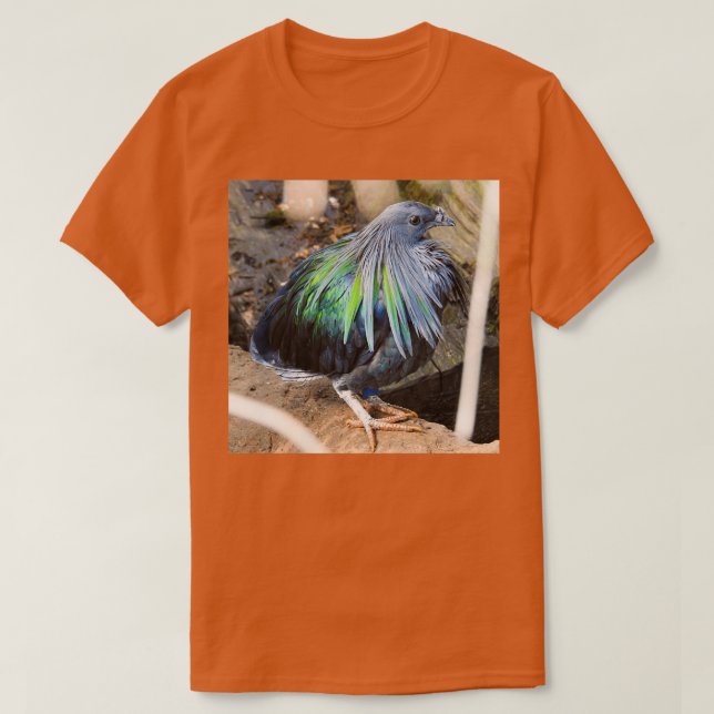 Nicobar 4 t shirt (Design framsida)