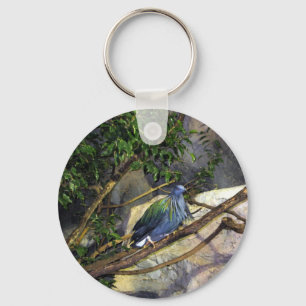 Nicobar Pigeon Nyckelring