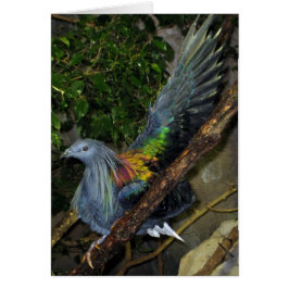 Nicobar Pigeon Wave Hälsningskort