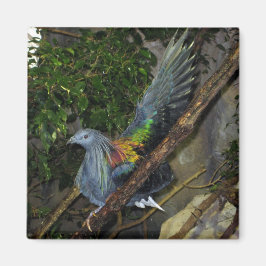 Nicobar Pigeon Wave Magnet