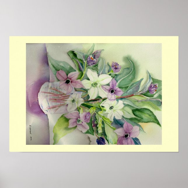 Nicotiana Bouquet Poster (Framsidan)